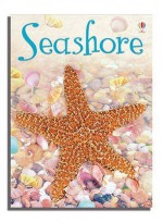 Seashore (Usborne Beginners) - Lucy Bowman