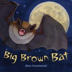 Big Brown Bat - Rick Chrustowski