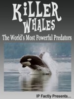 Killer Whales! The World's Most Powerful Predators! Incredible Facts, Photos and Video Links to Orca Whales. (Amazing Animals Series) - IC Wildlife, IP Factly