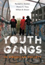 Youth Gangs in American Society - Randall G. Shelden, Sharon K. Tracy, William B. Brown