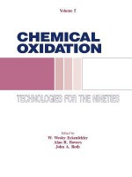 Chemical Oxidation: Technologies for the Nineties, Volume V - W. Eckenfelder, Alan R. Bowers, John A. Roth