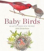 Baby Birds: An Artist Looks into the Nest - Julie Zickefoose