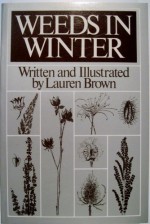 Weeds in Winter - Lauren Brown