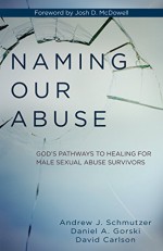 Naming Our Abuse - Andrew J. Schmutzer, Daniel A. Gorski, David Carlson