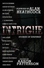 Intrigue (Stories of Suspense) - Aaron Patterson, Vincent Zandri, Alan Heathcock, Alllan Leverone, Robin Parrish, Chris White, Dave Zeltserman, Paul Levine, Estevan Vega, Bri Clark, J.R. Chartrand, Rebecca Carey Lyles, Peter Leavell, K.C. Neal, Mark Maciejewski, Deborah Provenzale, Ray Ellis