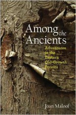 Among the Ancients: Adventures in the Eastern Old-Growth Forests - Joan Maloof