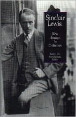 Sinclair Lewis: New Essays in Criticism - James M. Hutchisson