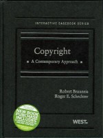 Brauneis and Schechter's Copyright: A Contemporary Approach (Interactive Casebook Series) - Robert Brauneis, Roger E. Schechter