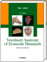 Veterinary Anatomy Of Domestic Mammals - Horst Erich König