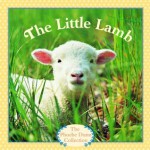 The Little Lamb (Pictureback(R)) - Phoebe Dunn