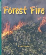 Forest Fire - Julie Haydon