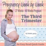 Pregnancy Books For First Time Moms: The Third Trimester Book - Babette Lansing