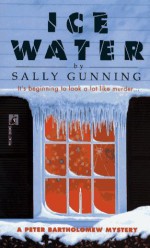 ICE WATER - Sally Gunning