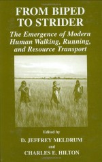 From Biped to Strider: The Emergence of Modern Human Walking, Running, and Resource Transport: The Emergence of Modern Human Walking, Running and Resource Transport - D. Jeffrey Meldrum, Charles E. Hilton