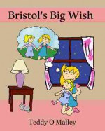 Bristol's Big Wish - Teddy O'Malley