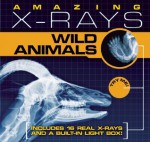 Amazing X-rays: Wild Animals - Jacqueline Ball