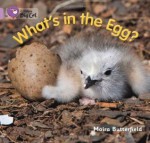 Collins Big Cat - What's in the Egg?: Lilac/Band 00 - Moira Butterfield, Cliff Moon