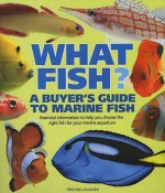 What Fish?: A Buyer's Guide to Marine Fish (What Fish) - Tristan Lougher