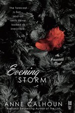 Evening Storm - Anne Calhoun