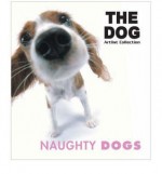 Naughty dogs - Carlton Books