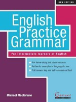 English Practice Grammar: With Answers. Michael MacFarlane - Michael Macfarlane