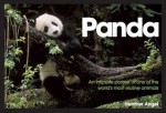 Panda: An Intimate Portrait of One of the World's Most Elusive Characters - Heather Angel