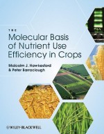 The Molecular Basis of Nutrient Use Efficiency in Crops - Malcolm J. Hawkesford, Peter Barraclough