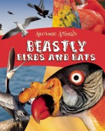 Beastly Birds and Foul Flyers (Qeb Awesome Animals) - Lynn Huggins-Copper, Lyyn Huggins-Copper