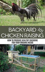 Backyard Chicken Raising 101: How to Produce Healthy Chickens for Your Organic Needs (backyard chicken, backyard chicken coop, backyard chicken for beginners, ... gardening, homesteading, raising chickens) - April Stewart