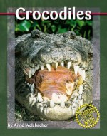 Crocodiles - Anne Welsbacher