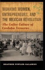 Working Women, Entrepreneurs, and the Mexican Revolution: The Coffee Culture of Cordoba, Veracruz - Heather Fowler-Salamini