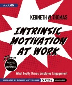 Intrinsic Motivation at Work: 2nd Edition: What Really Drives Employee Engagement - Kenneth W. Thomas, Richard Waterhouse