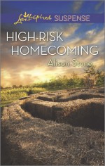 High-Risk Homecoming - Alison Stone