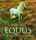 Equus: The Creation of a Horse (Evergreens) - Robert Vavra, James A. Michener