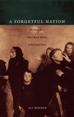 A Forgetful Nation: On Immigration and Cultural Identity in the United States - Ali Behdad