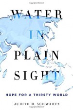 Water in Plain Sight: Hope for a Thirsty World - Judith D. Schwartz