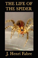 The Life of the Spider - J. Henri Fabre, Alexander Teixeira de Mattos