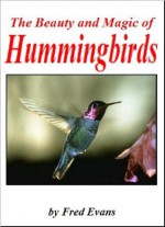 The Beauty and Magic of Hummingbirds - Fred Evans