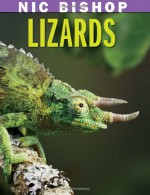 Nic Bishop: Lizards - Nic Bishop