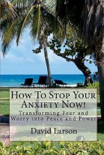 How to Stop Your Anxiety Now: Transforming Fear and Worry Into Peace and Power - David Larson