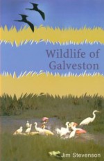 Wildlife of Galveston - Jim Stevenson