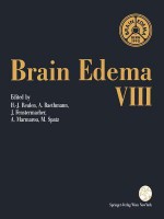 Brain Edema VIII: Proceedings of the Eighth International Symposium, Bern, June 17 20, 1990 - H.-J. Reulen, Alexander Baethmann, Joseph Fenstermacher, Anthony Marmarou, Maria Spatz