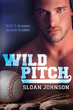 Wild Pitch (Homeruns Book 1) - Sloan Johnson