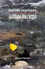 La strada era l'acqua - Davide Sapienza