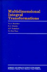 Multidimensional Integral Transformations - Yuri A. Brychkov