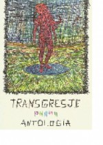 Transgresje. Antologia - Marek Bieńczyk, Inga Iwasiów, Natasza Goerke, Grażyna Plebanek, Piotr Paziński, Agnieszka Wolny-Hamkało, Laila Stien, Mikkel Bugge, Stefan Sprenger, Kristin Eiriksdóttir, Halidór Armand Asgerisson, Christine Glinski-Kaufmann, Pórarinn Eldjarn