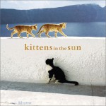 Kittens in the Sun - Hans W. Silvester