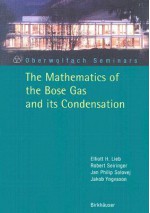 The Mathematics of the Bose Gas and Its Condensation - Elliott H. Lieb