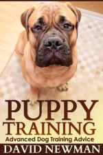 Puppy Training: Advanced Dog Training Advice - David Newman