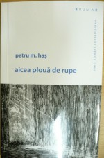 aicea plouă de rupe - Petru M. Haș